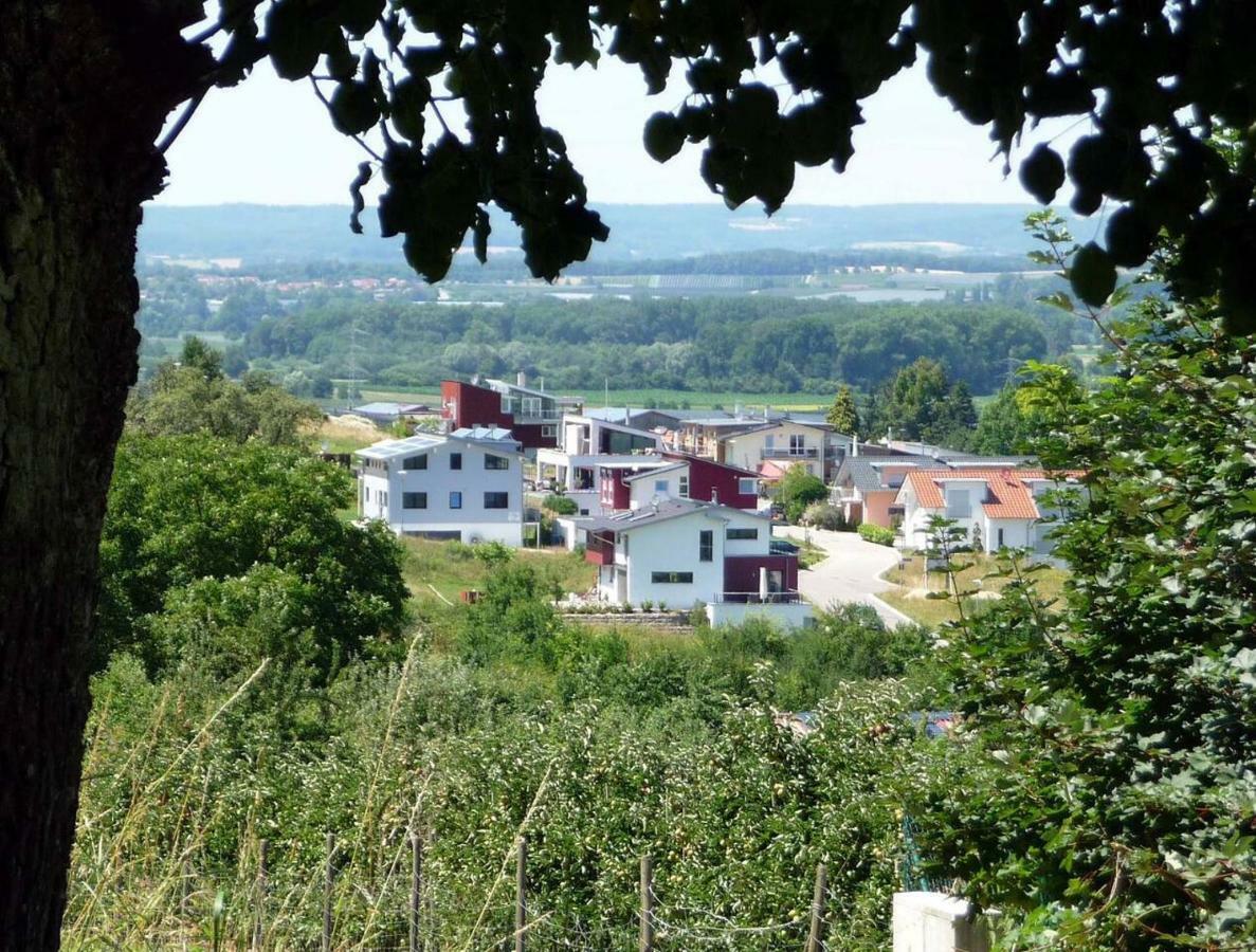 Haus Bodenseeblick Бодман-Людвигсхафен Экстерьер фото